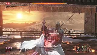 萌新菜菜，大佬带带