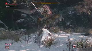 萌新菜菜，大佬带带