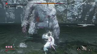 萌新菜菜，大佬带带