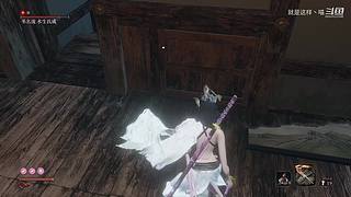 萌新菜菜，大佬带带