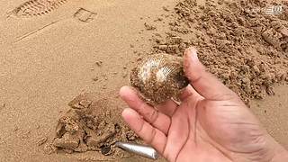 大齐赶海，又是出大货的一天