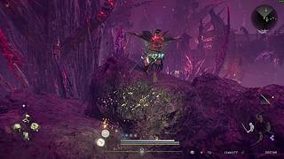 新年祝大家天天开心