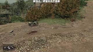 【小k】2026新年快乐，8周年快乐