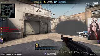 我玩的可能是假游戏T.T