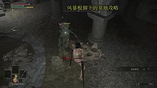 很呆的萌新玩转刺客信条起源最高难度。