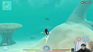 二抛：点进来 然后开始享受~