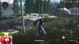 新人主播求关注 446880