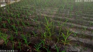 电影级画质，失眠者福音~