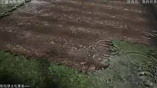 电影级画质，失眠者福音~