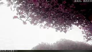 电影级画质，失眠者福音~