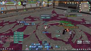 今天真的没有花间