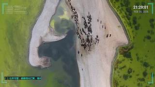 7年纯音|工作学习助眠|AI毒舌硬核科普