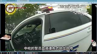 福星福星 神志不清~