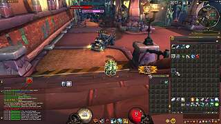 Animaosxq的直播间