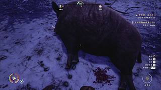 新春快乐！春节不打烊！