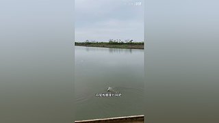 亮gnailux的直播间