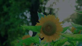 2022武汉都市圈爱心妈妈联盟系列活动