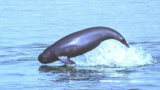 惠影湖北乐享生活-惠民观影活动发布仪式