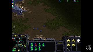 诸葛酒神曲的直播间