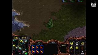 诸葛酒神曲的直播间