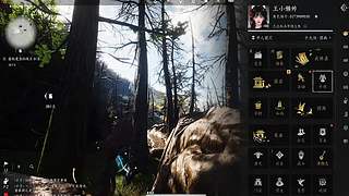 探索技巧，高效收集资源