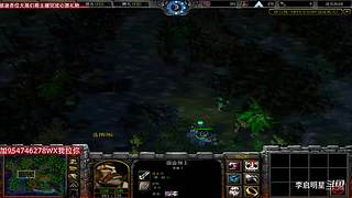 魔兽达尔文进化岛直播间