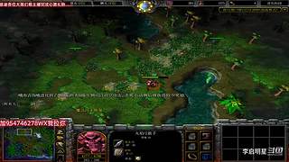 魔兽达尔文进化岛直播间