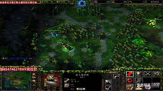 魔兽达尔文进化岛直播间