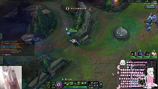 【五毒】做最厉害的小猪