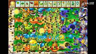 只玩猎人各种好玩的猎人卡组