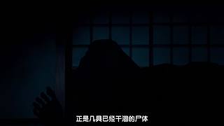 【野灿baka】一起追番