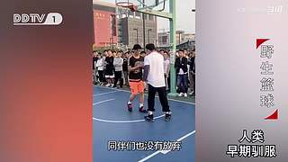 魏蜀吴群雄争霸，发弹幕加入国战