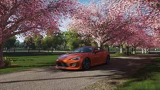 风景-----马拉松