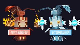 南石带你看不一样的《我的世界》