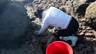 渔妹带你来赶海，来看有没有你没见过的