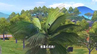 小猎豹dd的直播间