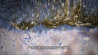 【所长来了】打开宇宙的未知