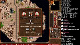 《英雄无敌3》2月18号天梯苦练