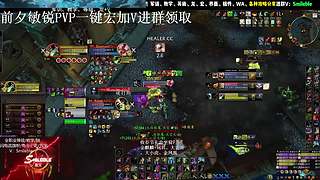 盗贼PVP 2400 攻略分享