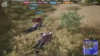 我龙哥都直播了，我也凑凑热闹