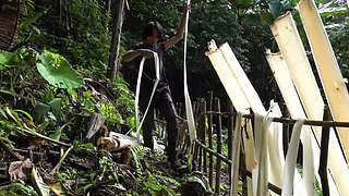 东南亚丛林生活实录