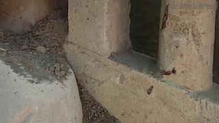 疯狂原始人带你荒野求生