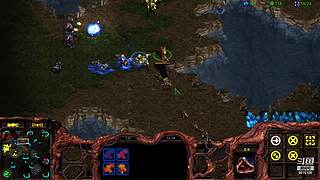 暴风虫族Ameba教你玩转星际争霸I