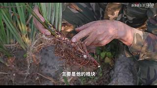 娱乐大于一切 10440627