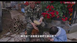 娱乐大于一切 10440627