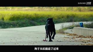 浩贤说电影的直播间