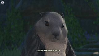 10996111的直播间