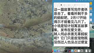 看蚂蚁窝，看写铅文41，蚂蚁被偷剩几只了