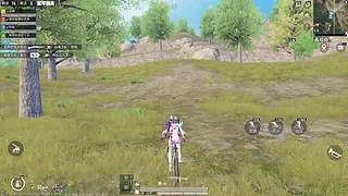 和平精英哇哇狗分