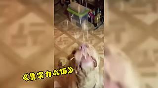 唉呀妈呀！笑抽抽了！